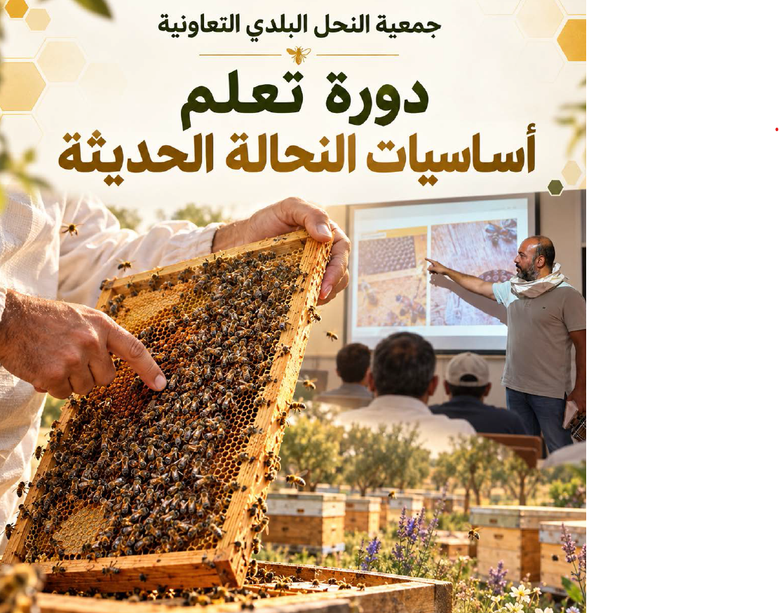 دورة أساسيات النحاله الحديثة 04